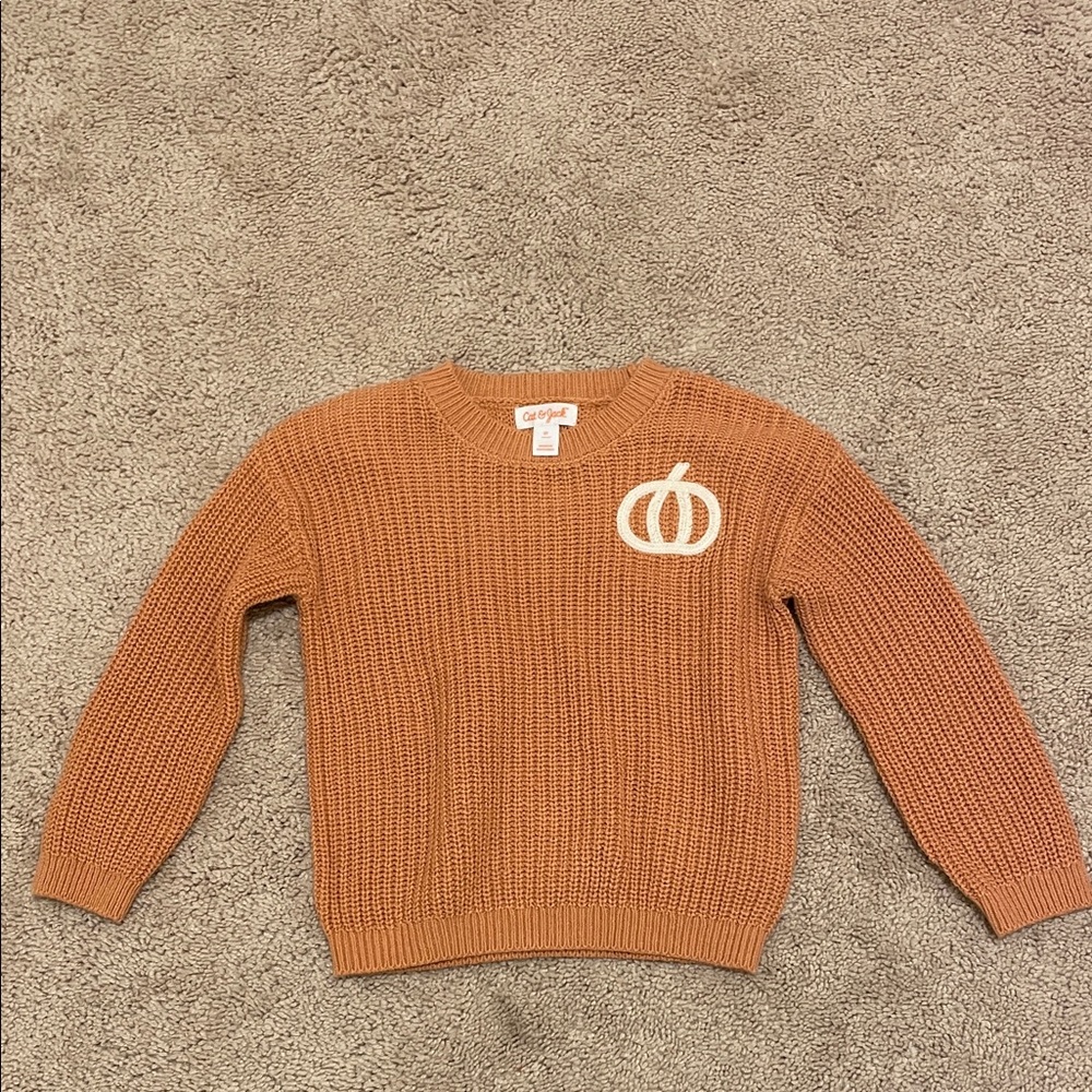 Cat & Jack Orange Sweater with White Pumpkin